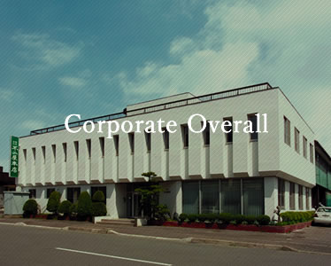 Corporate Overall