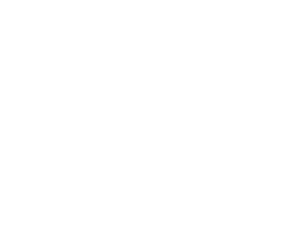 Partner Manufactures 